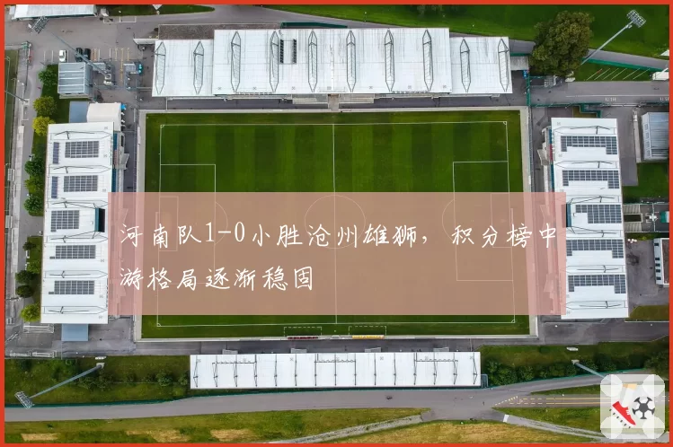 河南队1-0小胜沧州雄狮，积分榜中游格局逐渐稳固
